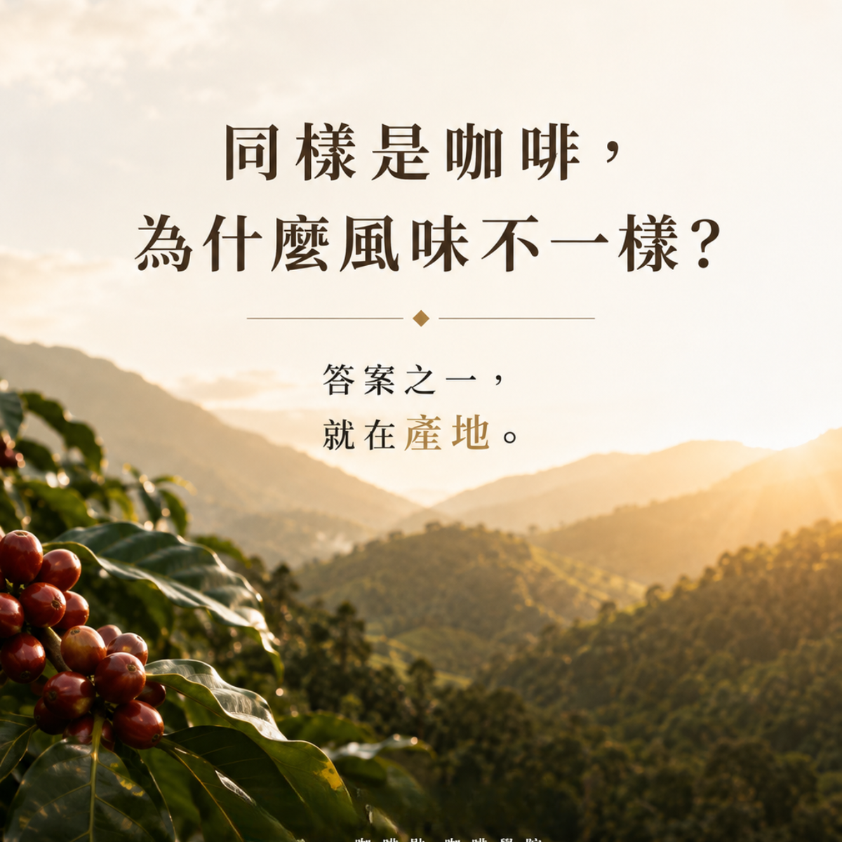 同樣是咖啡，為什麼喝起來不一樣？從產地環境理解風味