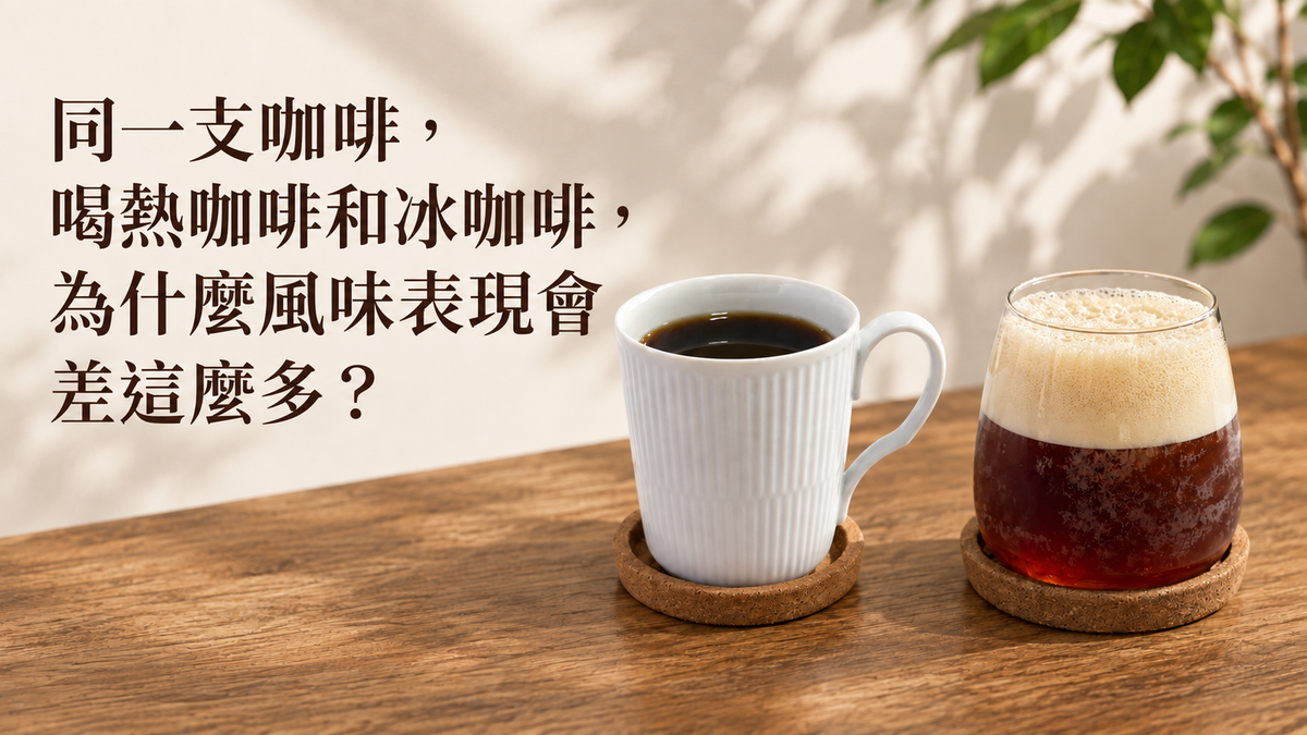 同一支咖啡，喝熱咖啡和冰咖啡，為什麼風味表現會差這麼多？